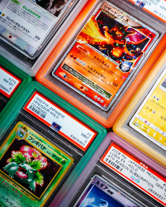 Gradient Two-Tone Bumpers