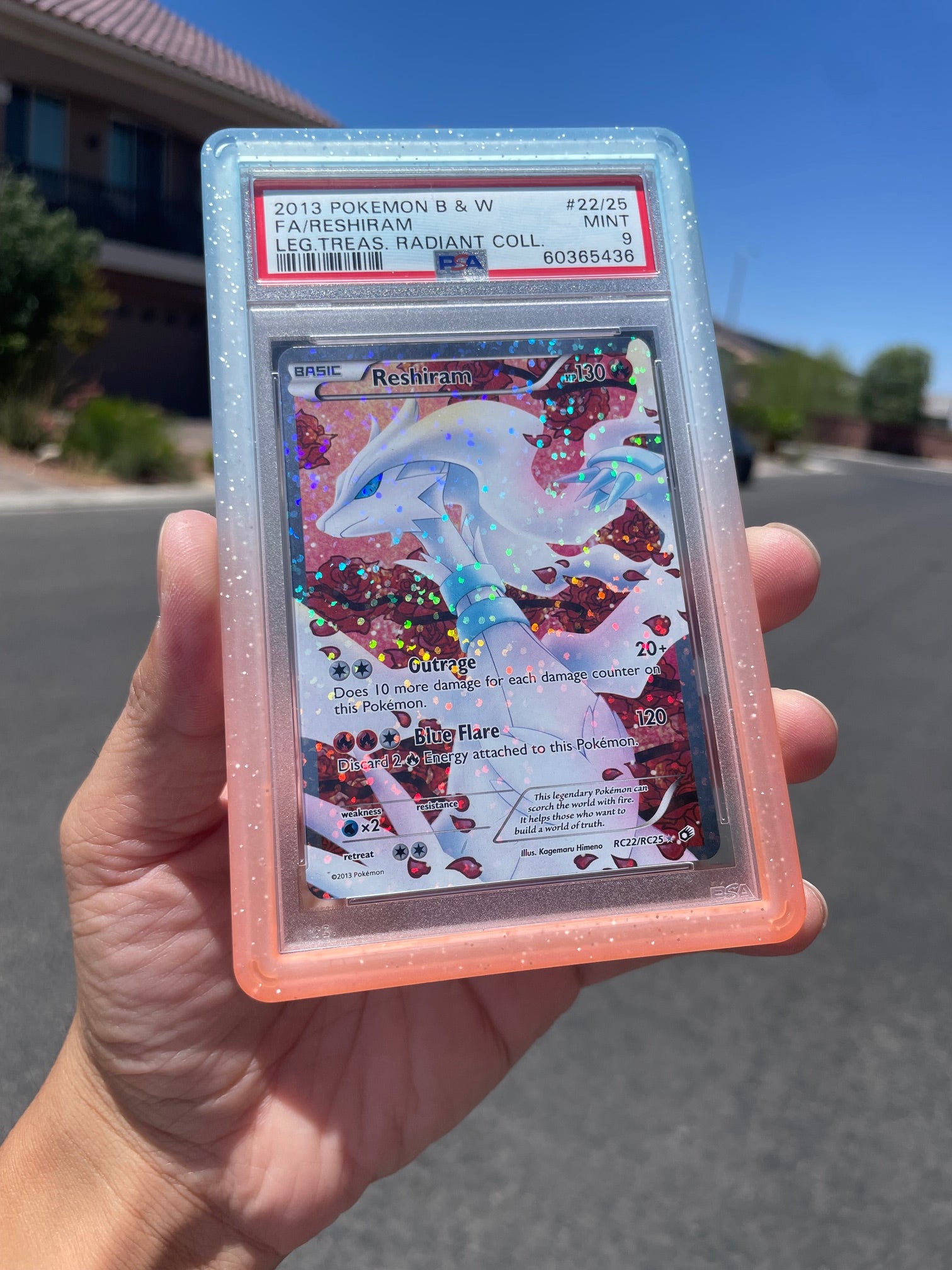 Cosmic Collection Bumpers
